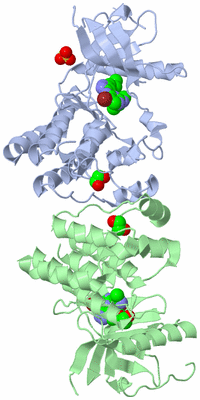 Image Asym./Biol. Unit