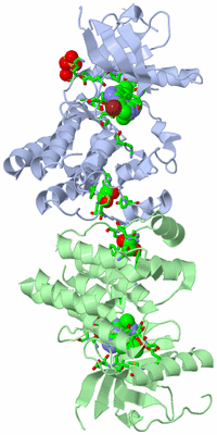 Image Asym./Biol. Unit - sites