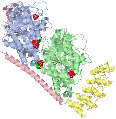 Image Asym./Biol. Unit