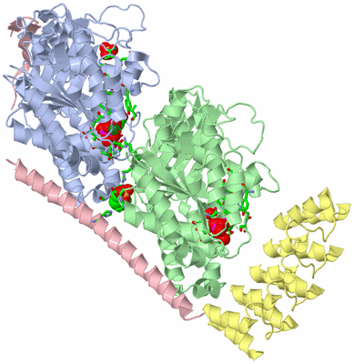 Image Asym./Biol. Unit - sites