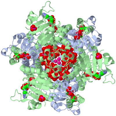 Image Biological Unit 1