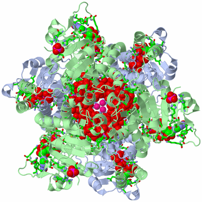 Image Biol. Unit 1 - sites