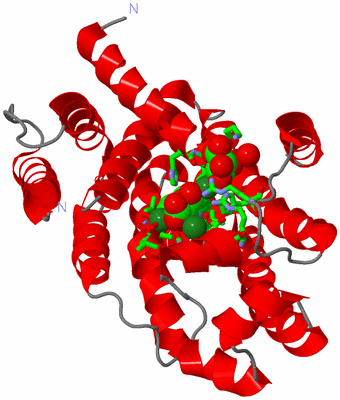 Image Asym./Biol. Unit - sites