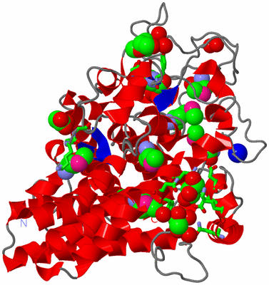 Image Asym./Biol. Unit - sites