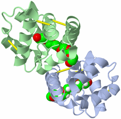 Image Biological Unit 1