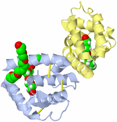 Image Biological Unit 3