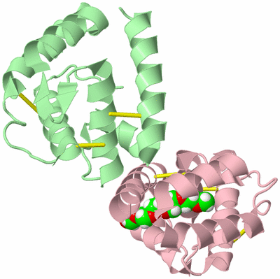 Image Biological Unit 4