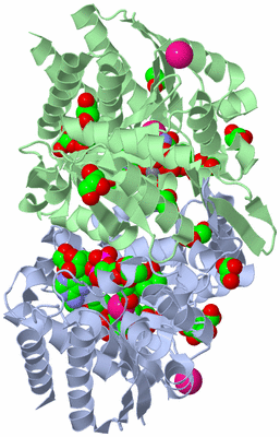 Image Biological Unit 1