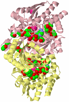 Image Biological Unit 2