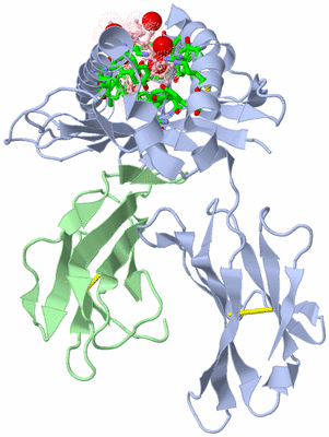 Image Biol. Unit 1 - sites