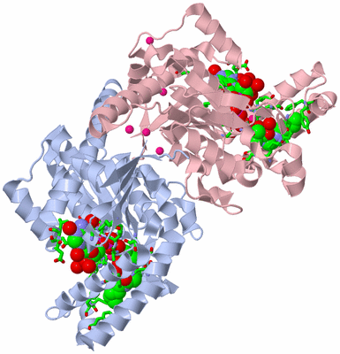 Image Biol. Unit 1 - sites