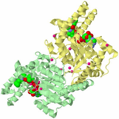 Image Biological Unit 2