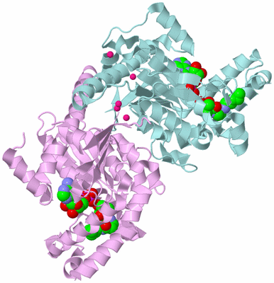 Image Biological Unit 3