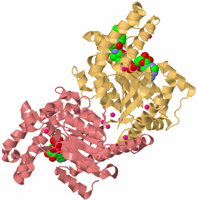 Image Biological Unit 4