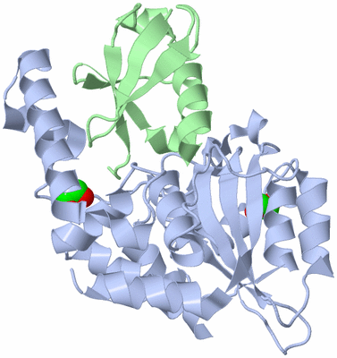 Image Biological Unit 1