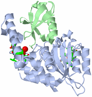 Image Biol. Unit 1 - sites