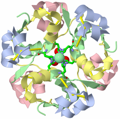 Image Biol. Unit 1 - sites