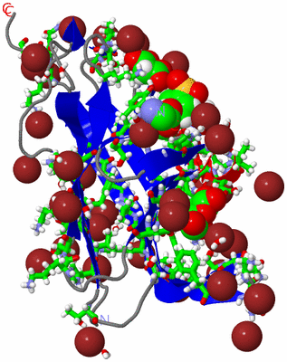 Image Asym./Biol. Unit - sites