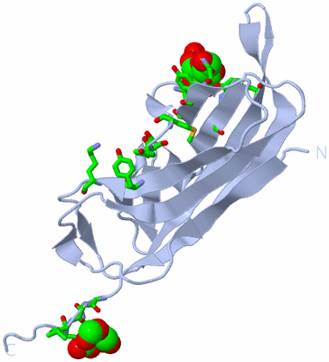 Image Biol. Unit 1 - sites