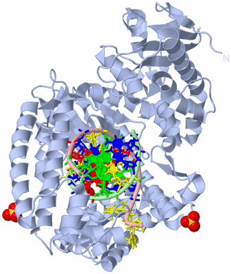 Image Biological Unit 1