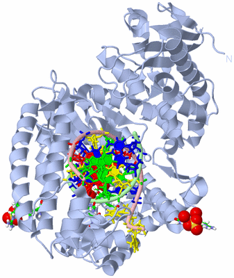 Image Biol. Unit 1 - sites