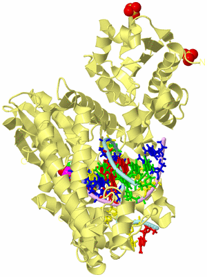 Image Biological Unit 2