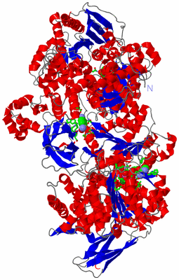 Image Asym./Biol. Unit - sites