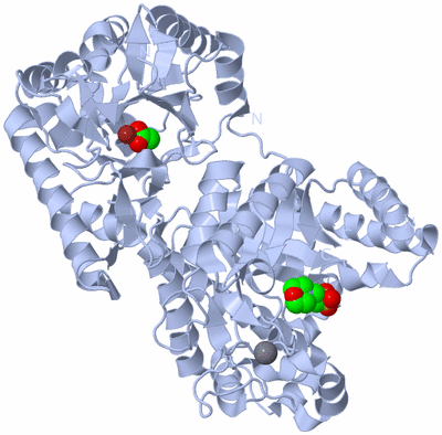 Image Biological Unit 1