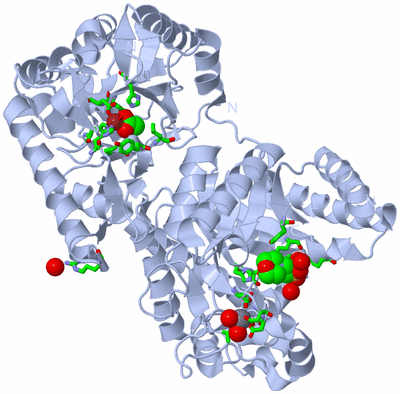 Image Biol. Unit 1 - sites