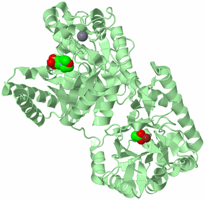 Image Biological Unit 2