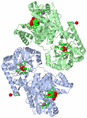 Image Asym. Unit - sites