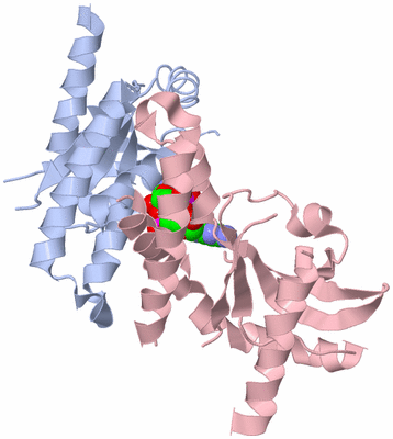 Image Asym./Biol. Unit