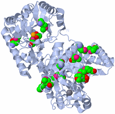 Image Biological Unit 1