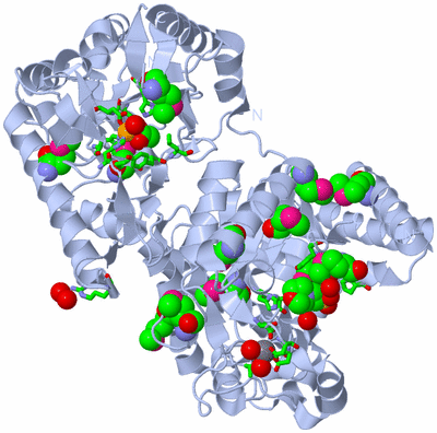 Image Biol. Unit 1 - sites