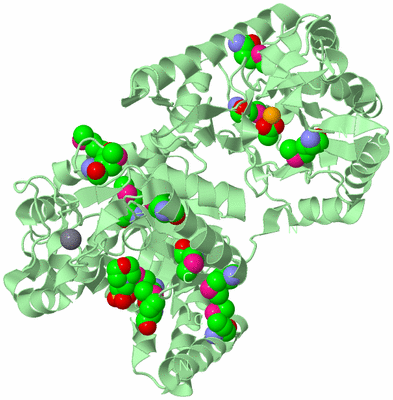 Image Biological Unit 2