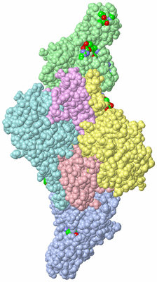 Image Asym./Biol. Unit - sites