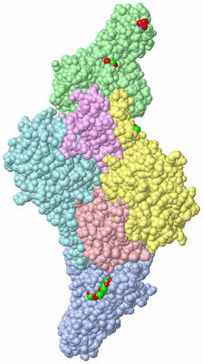 Image Asym./Biol. Unit