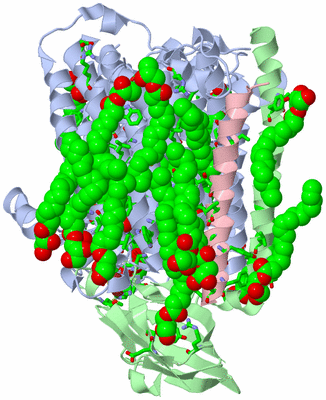 Image Asym./Biol. Unit - sites