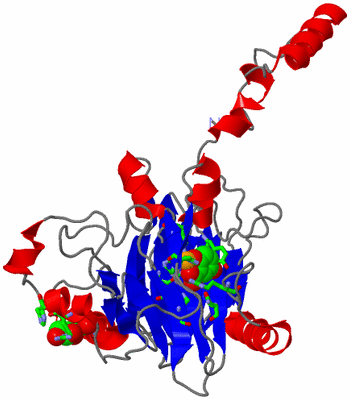 Image Asym. Unit - sites