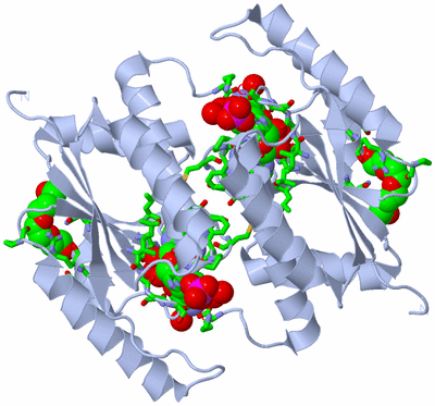 Image Biol. Unit 1 - sites