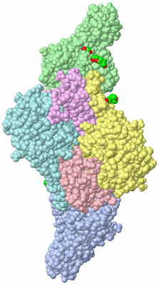 Image Asym./Biol. Unit