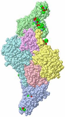 Image Asym./Biol. Unit - sites