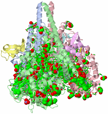 Image Asym./Biol. Unit - sites