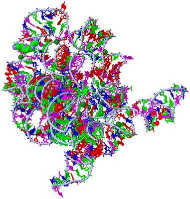 Image Asym./Biol. Unit