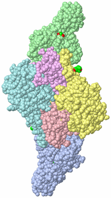 Image Asym./Biol. Unit