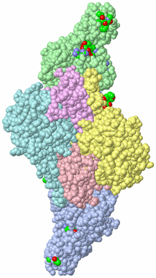 Image Asym./Biol. Unit - sites