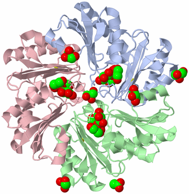 Image Asym./Biol. Unit