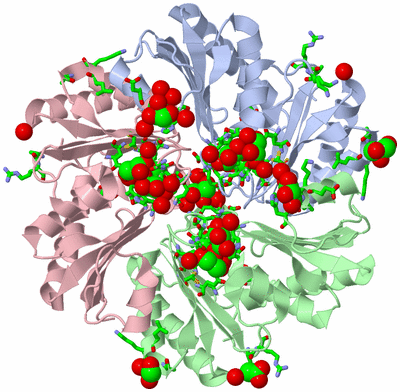 Image Asym./Biol. Unit - sites