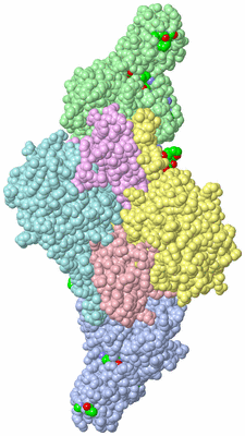 Image Asym./Biol. Unit - sites