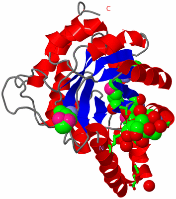 Image Asym./Biol. Unit - sites